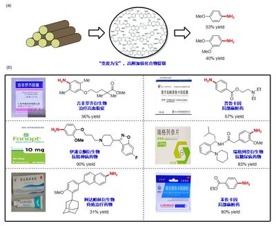 北京大学在大宗化学原料利用方面取得新突破